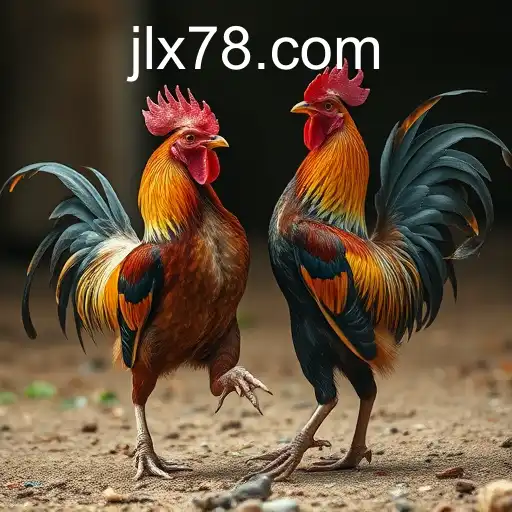 The Controversial World of Cockfighting: An Examination of JLX7